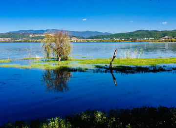 高原湿地