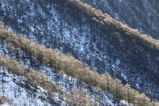 太白山