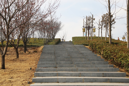 青石板台阶
