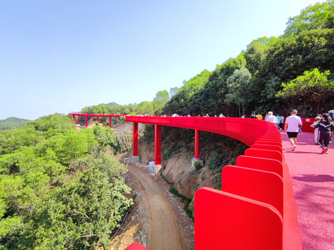 深圳红桥
