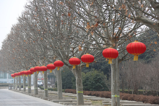 大红灯笼高高挂