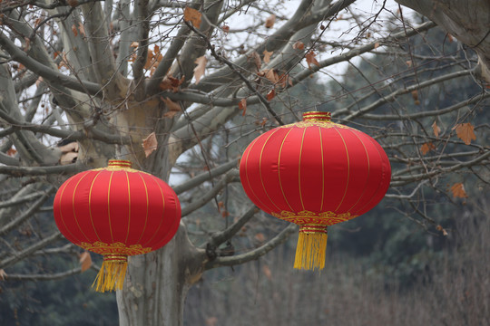 大红灯笼高高挂