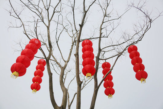 大红灯笼高高挂