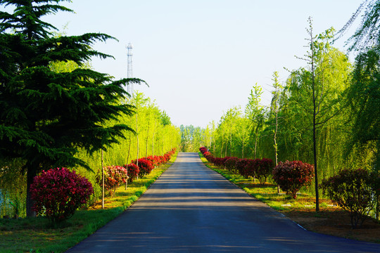 湖边的道路