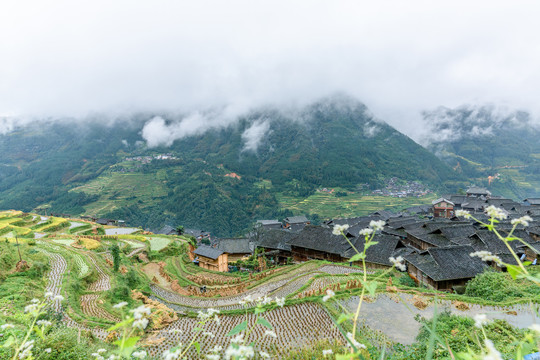 加榜梯田