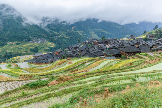 加榜梯田