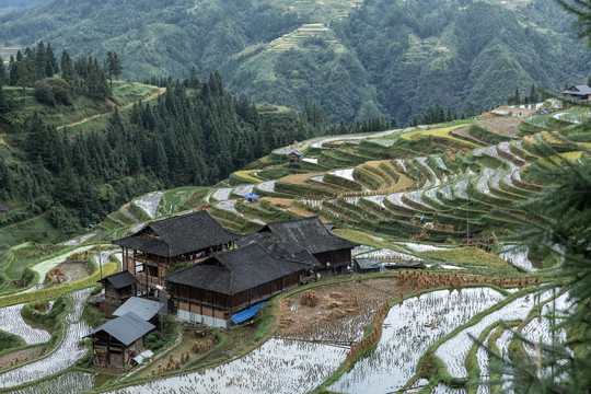 加榜梯田