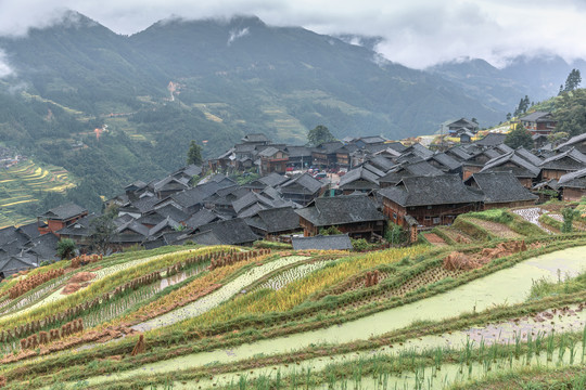 加榜梯田