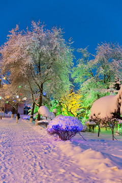 雪景