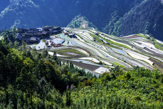 贵州加榜梯田