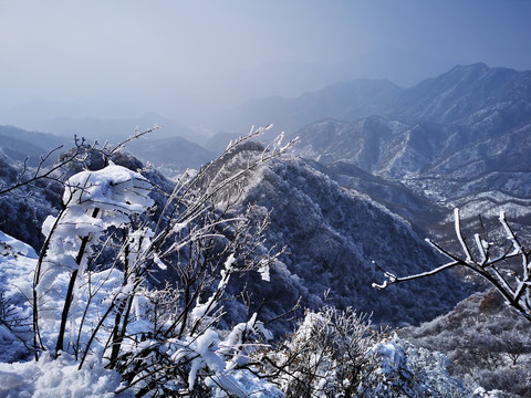 雪景