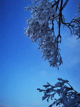 雪景