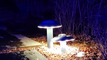 蘑菇地灯