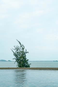 漳州东山岛