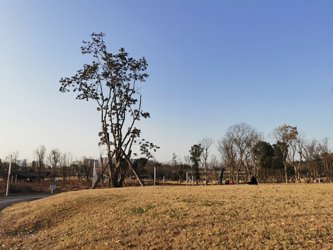 成都白鹭湾湿地公园