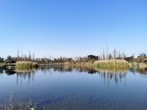 成都白鹭湾湿地公园