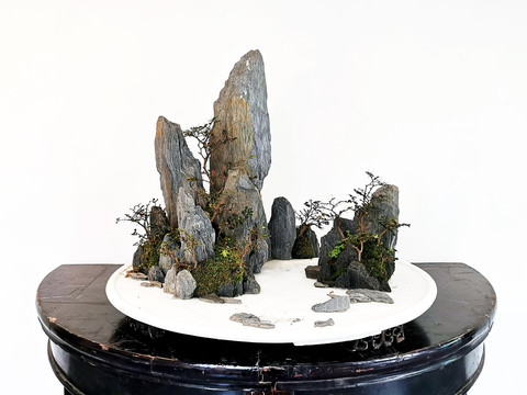 盆景