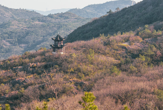 山中亭台