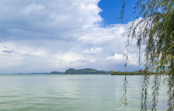 滇池湿地