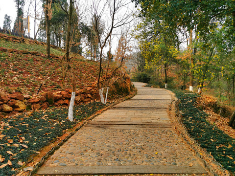 特色景观步道