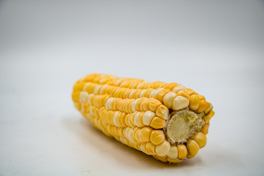 薏米仁