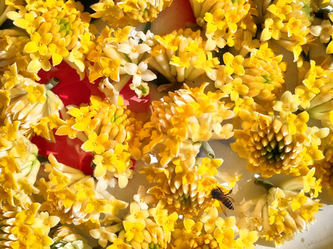 喜花