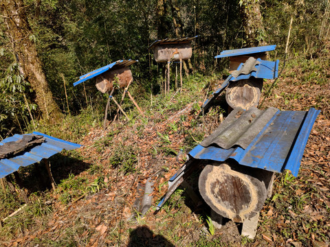 高山野外蜂桶养蜂