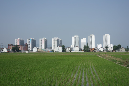 小康社会