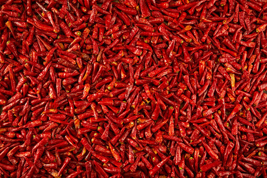 很多红辣椒