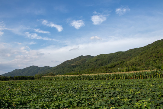 丘陵山地田园风光