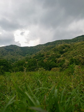 丘陵山地田园风光