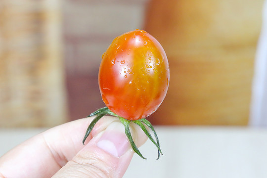 玉女小番茄