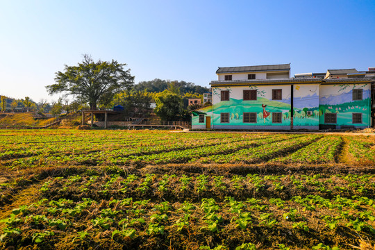 粤北韶关灵潭村