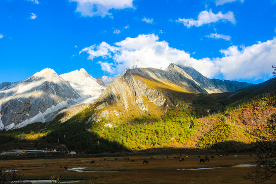 雪山