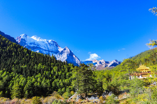 旅游风景区