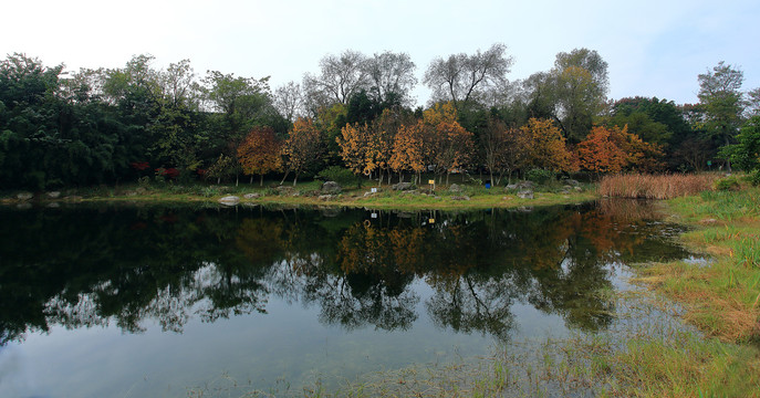 成都锦城湖公园