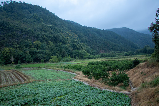 田园山丘