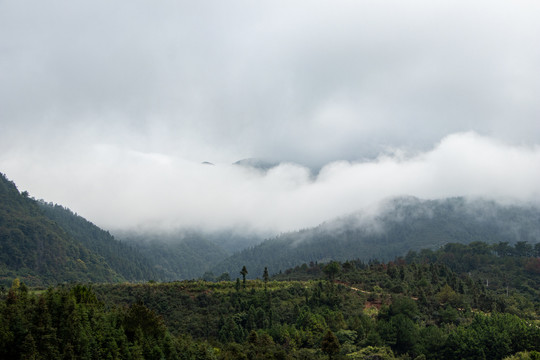 山峰森林天空