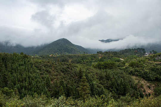 山峰森林天空