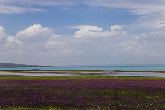 青海湖畔