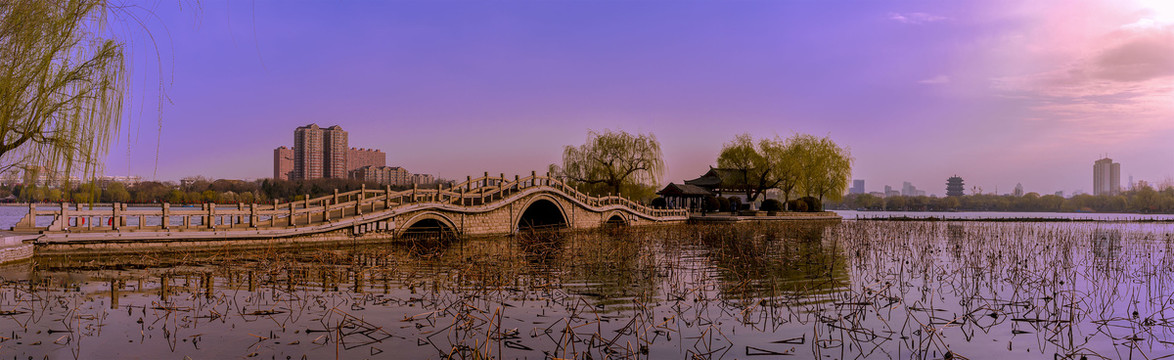 大明湖翠柳屏岛宽幅大图