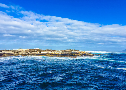 海豹岛