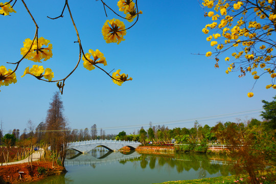 黄花江景