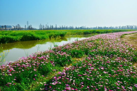 农业生态公园风景