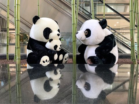 写字楼大堂里的大熊猫玩偶