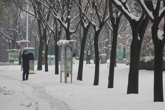 拍摄雪景