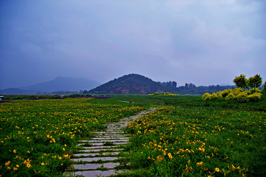 昌平七孔桥花海