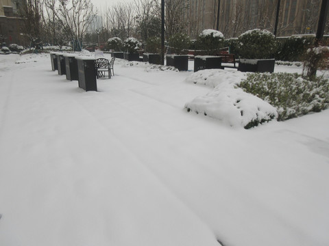 冬日雪景