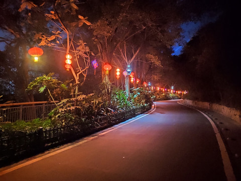 金鸡山夜景