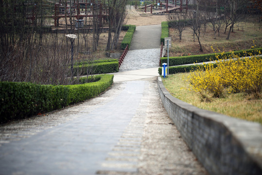 春日小道